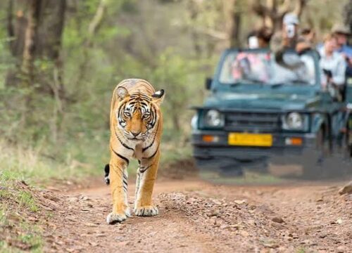 Jim Corbett