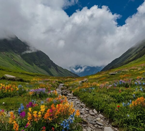 Valley of folwers